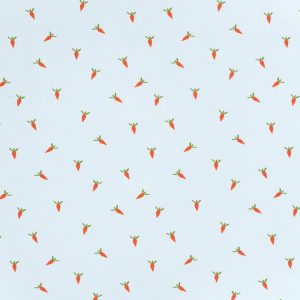 Punto de camiseta zanahorias